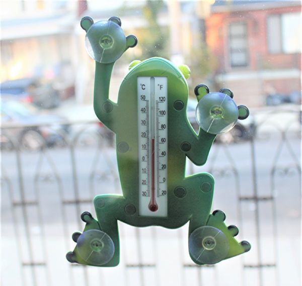 Wholesale Frog Thermometer With Suction Cups