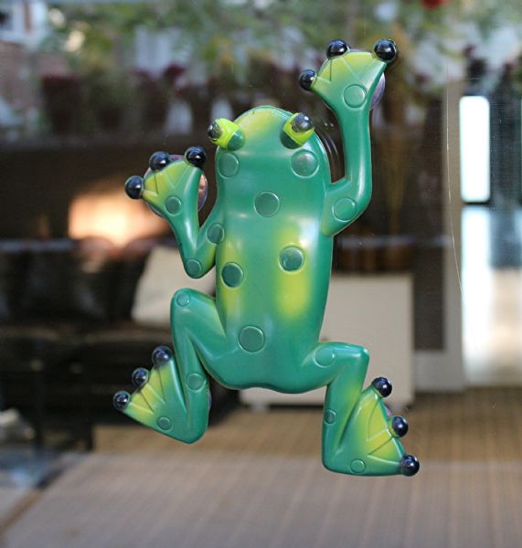 Wholesale Frog Thermometer With Suction Cups