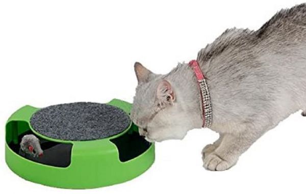 Wholesale Friendly Mouser Catch Cat Toy - Cat Mouse Toy For KittenS- Cats - Catch The Mouse Motion - Incredibly Fun To Play